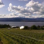 Okanagan Wine Tour 2011
