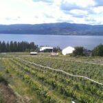 Wine Tasting at Home – Summerhill Winery