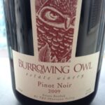 Wine Tasting at Home – Burrowing Owl Pinot Noir