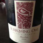 Wine Tasting at Home – Burrowing Owl