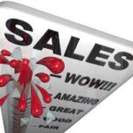 Who leads your businesses sales plan?
