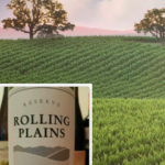 Wine Tasting at Home – Rolling Plains Zinfandel